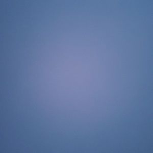 Meet your Posher, Gavin